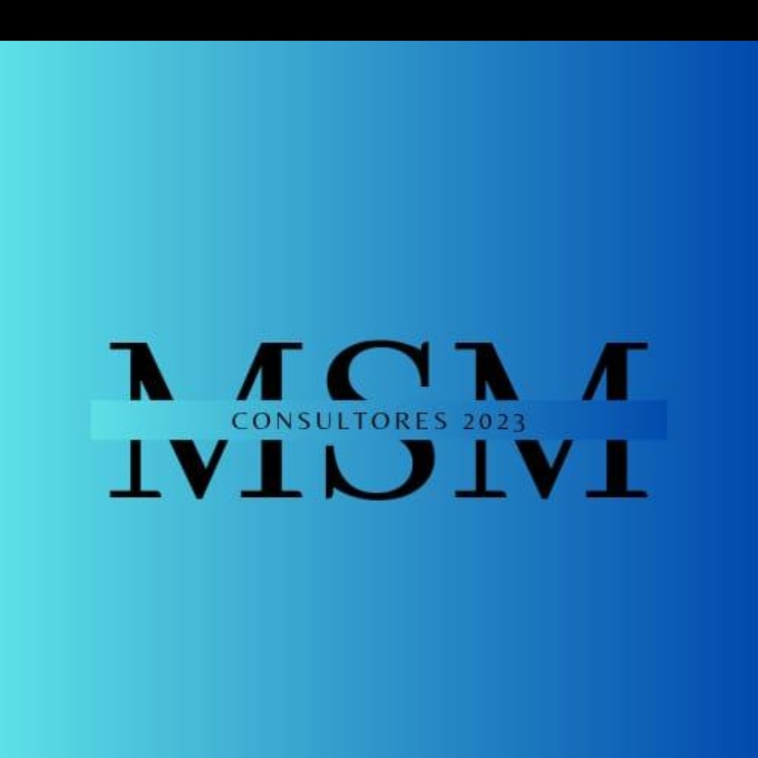 Logo de MSM CONSULTORES