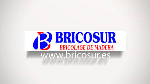 Logo de BRICOSUR